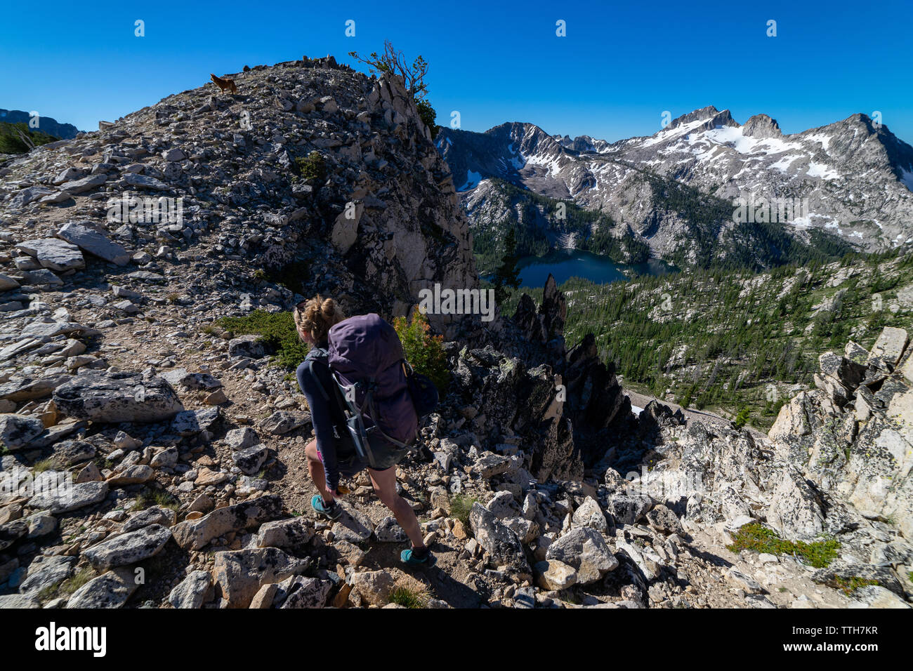 Female backpacker hikes along rocky rirge towards mountain summit Stock Photo