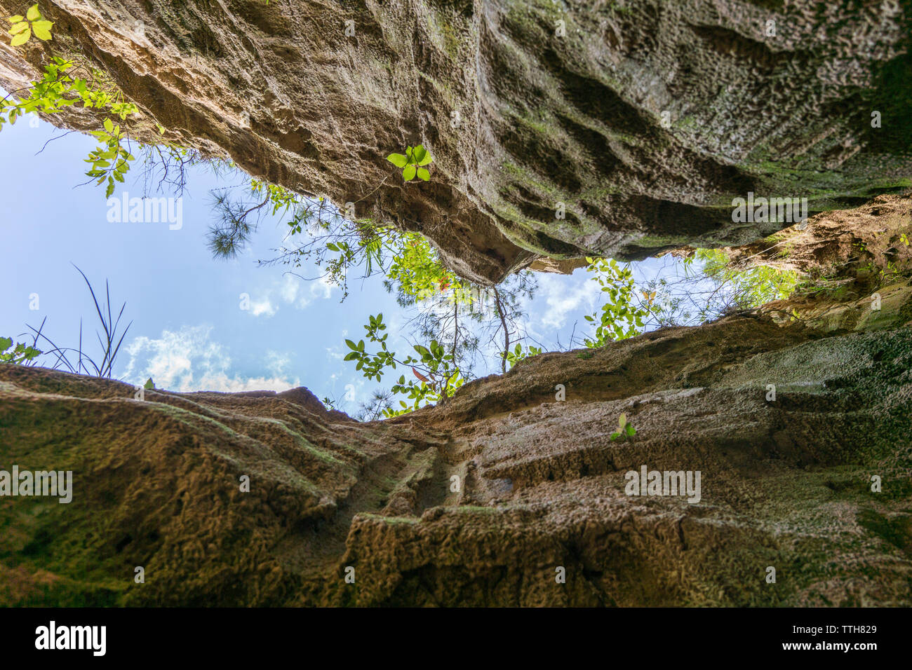 Upward view at Providence Canyon State Park, GA Stock Photo