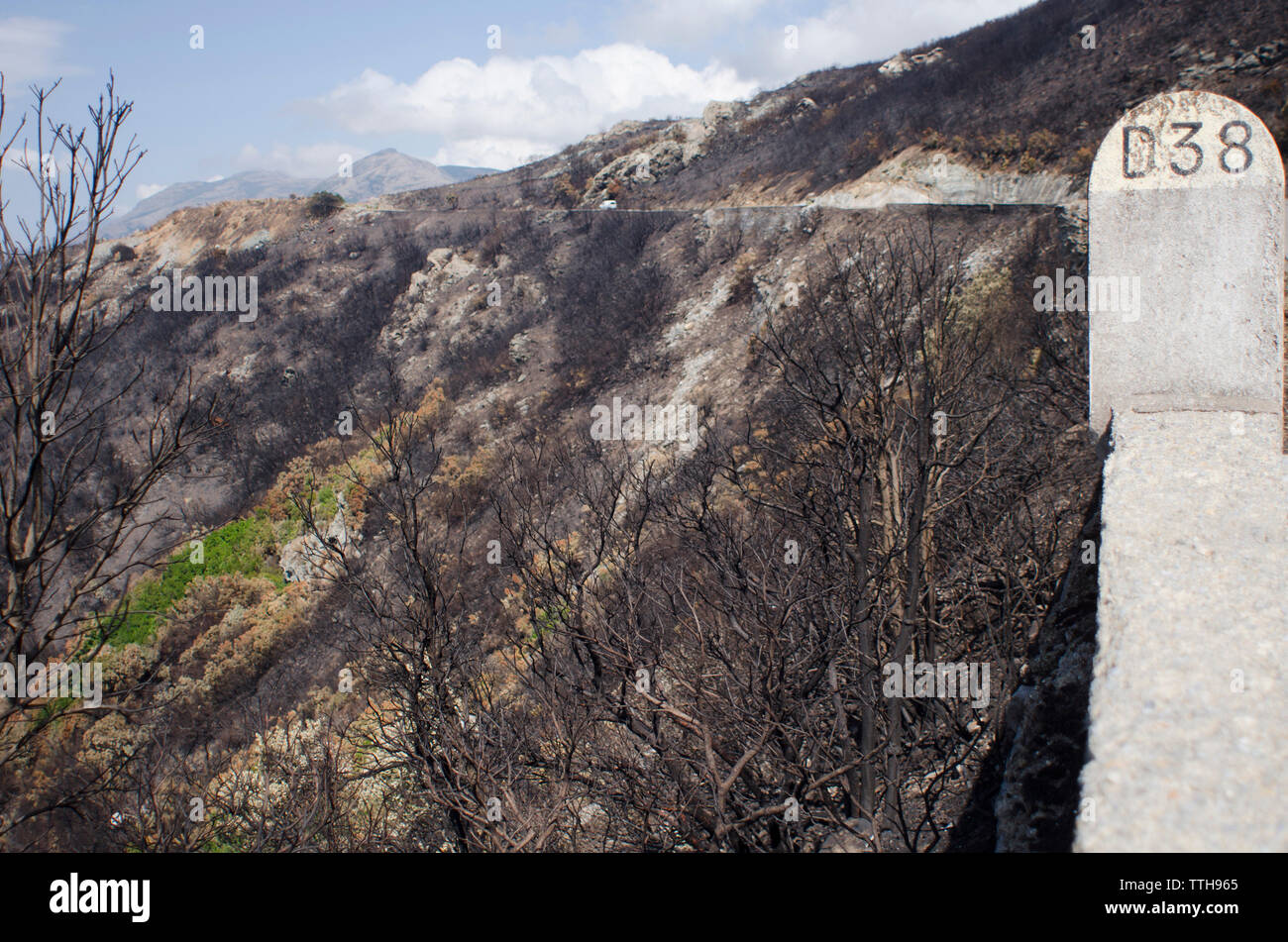 Burnt Hill With Road Going Through After Wildfire Stock Photo Alamy