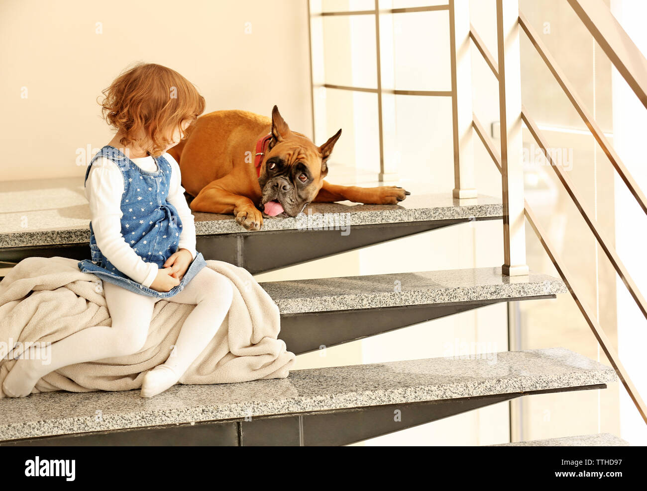 Puppy Fell Down Stairs High Quality clc.cet.edu