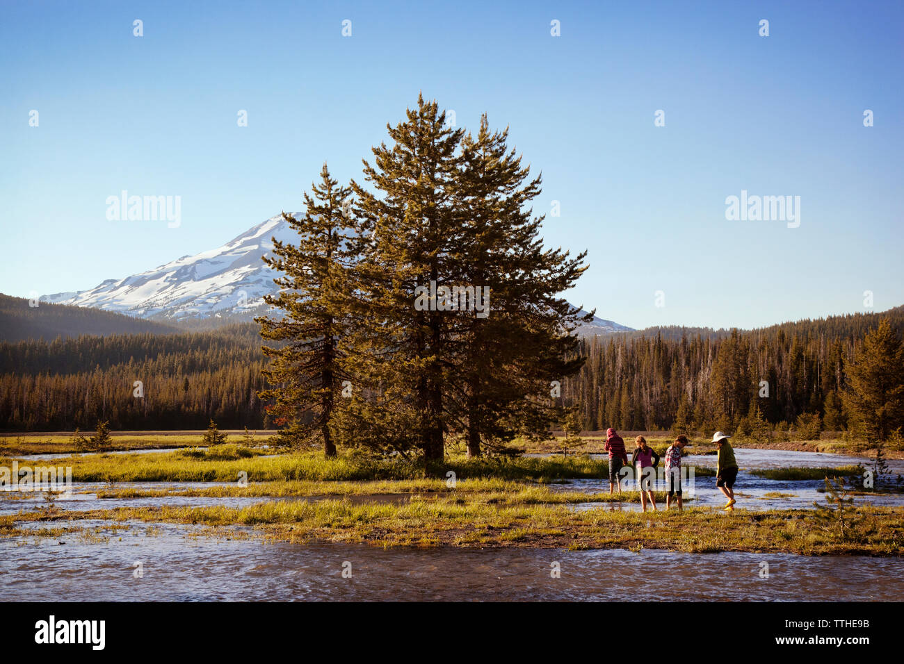 Trees lake clear water hi-res stock photography and images - Alamy