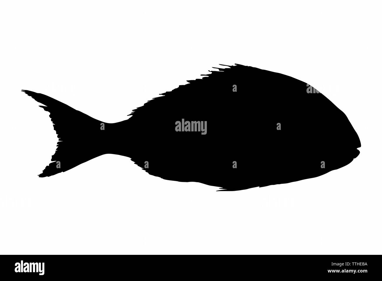 fish icon silhouette isolated on white background Stock Photo