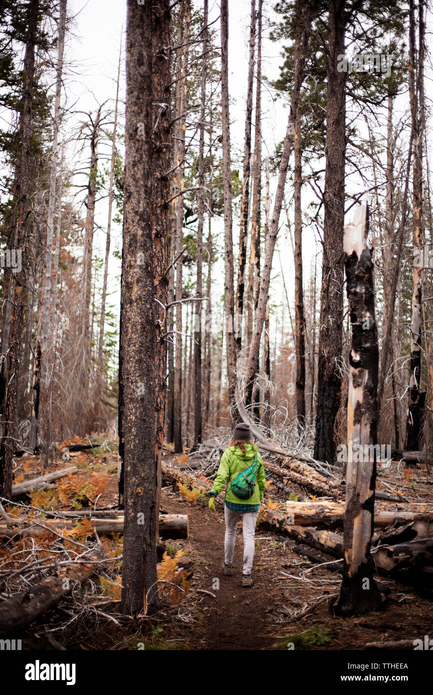 Rear view of woman walking on pathway amidst trees in forest Stock Photo