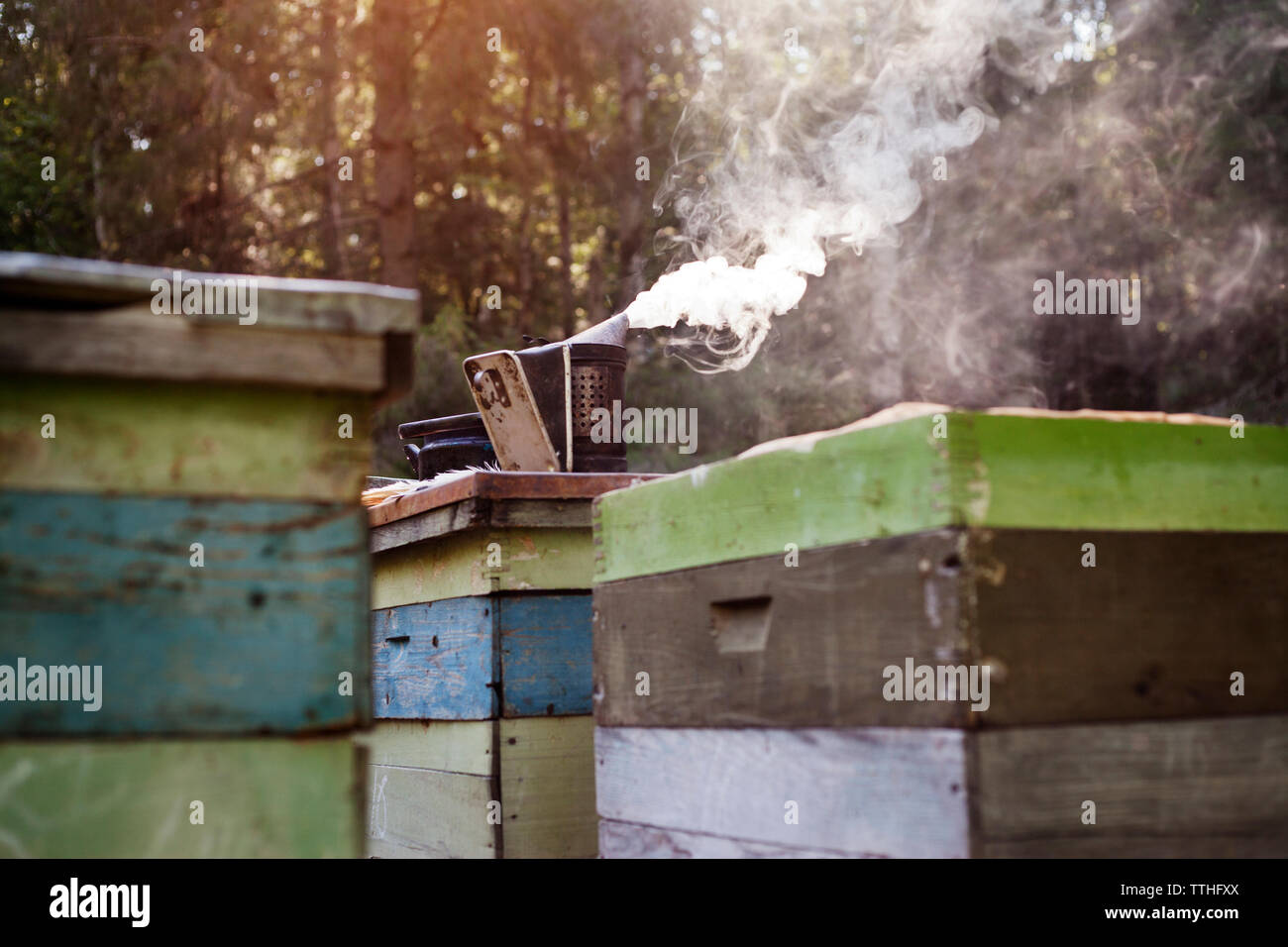 Bee smoker on container in forest Stock Photo