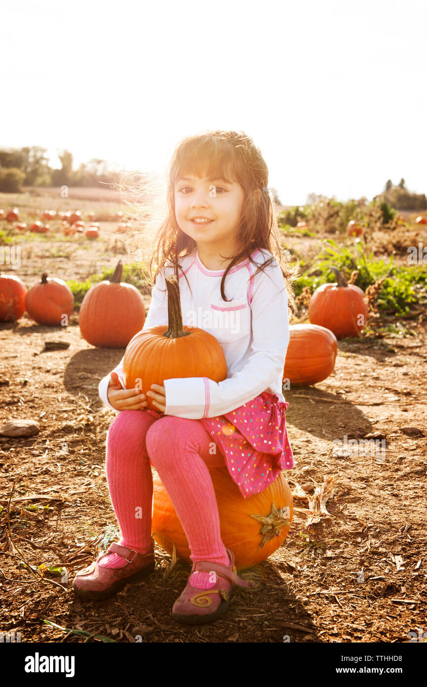 Portrait of cute girl sitting on pumpkin at field Stock Photo - Alamy