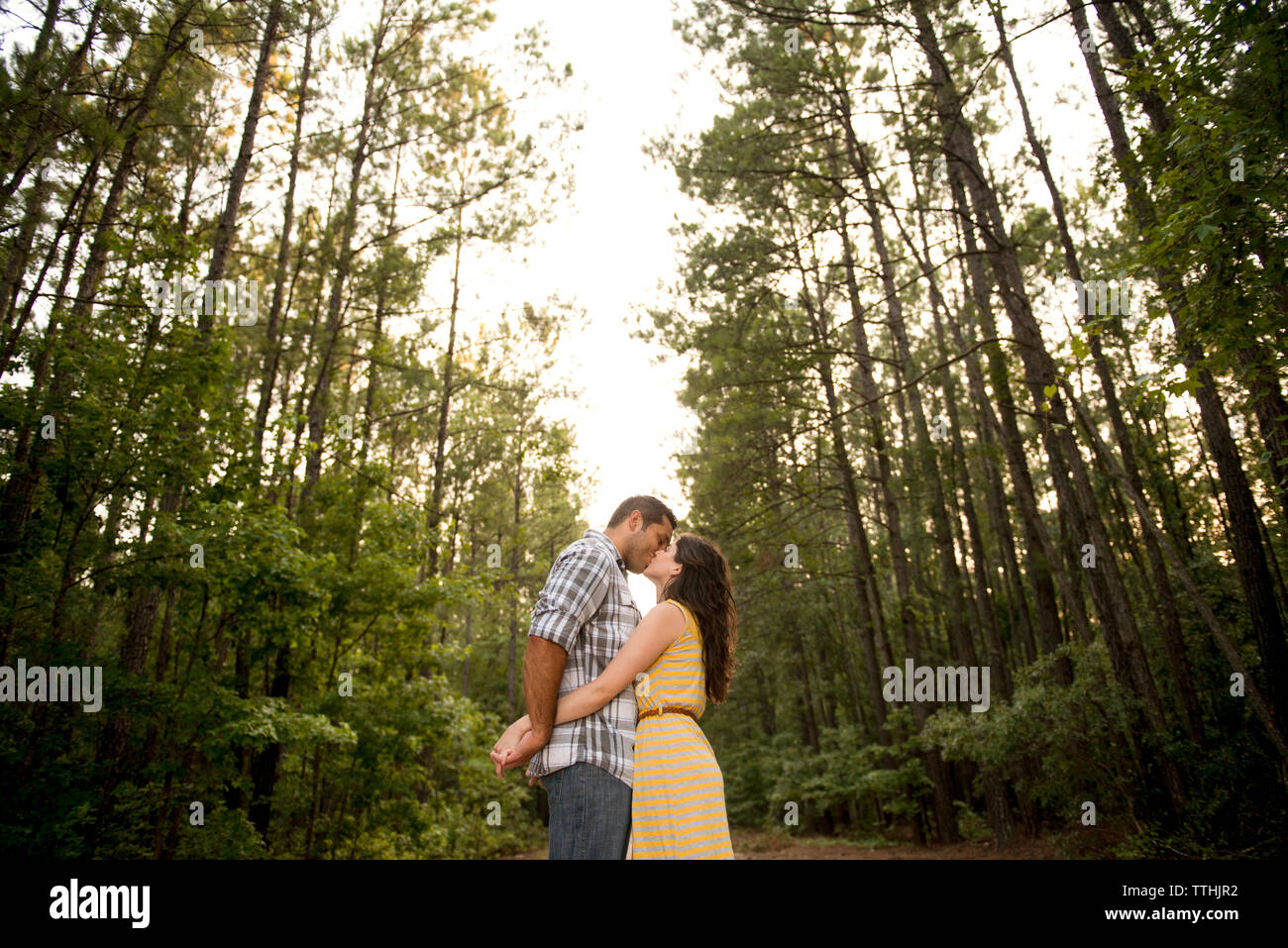 Couple kissing while standing against trees in forest Stock Photo - Alamy