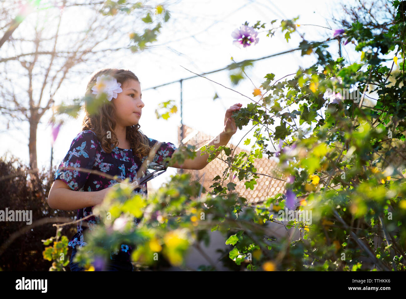 Low angle view of girl touching plants against sky Stock Photo