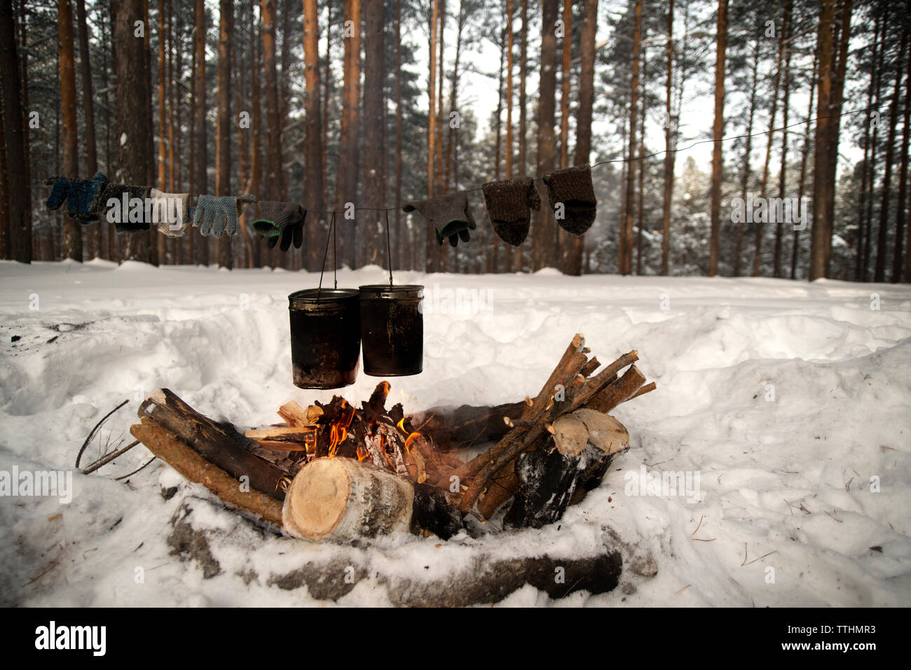 Food being cooked in containers over bonfire at snow covered field in forest Stock Photo