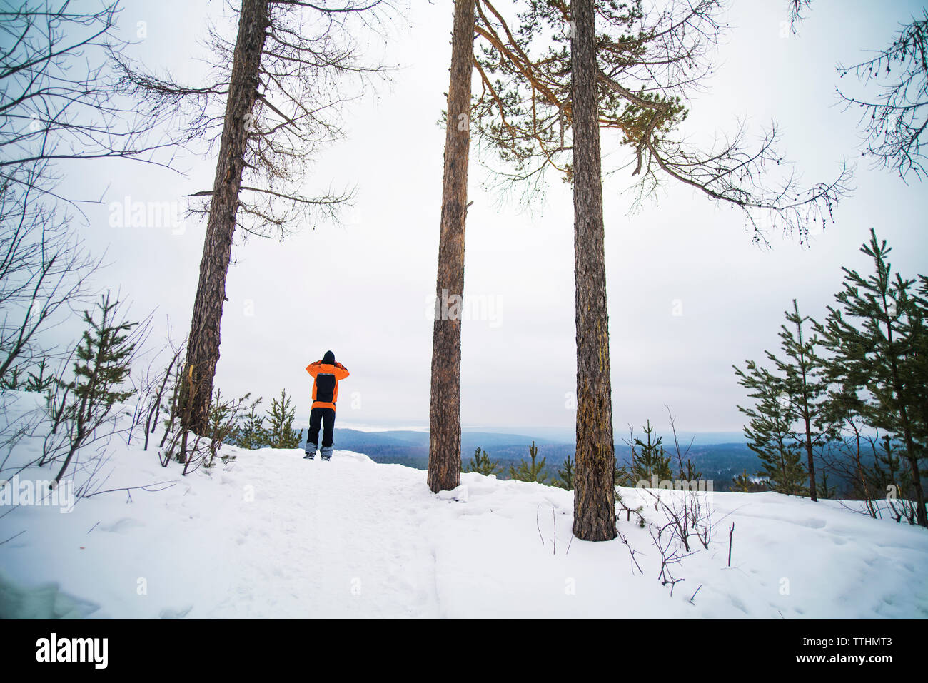 Rear view of hiker standing on mountain during winter Stock Photo - Alamy
