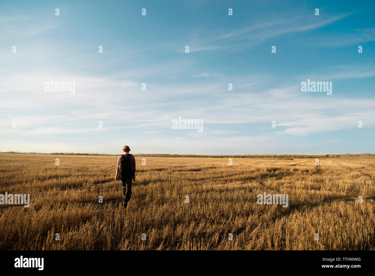 Man grassy field hi-res stock photography and images - Alamy