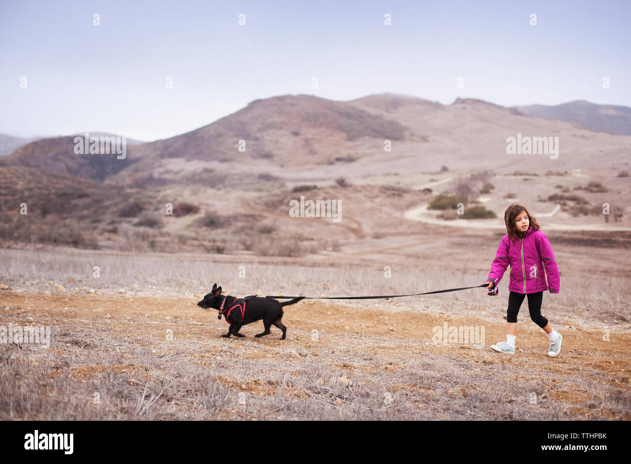 Girl with dog walking on field Stock Photo