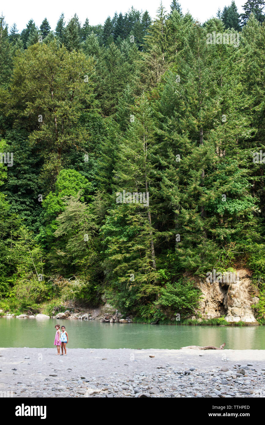 Distant view of children standing by river against trees Stock Photo