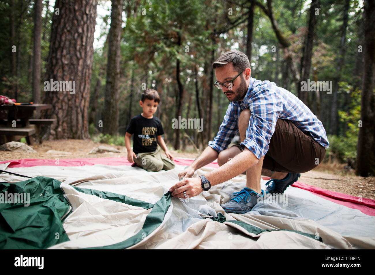 Father and son setting tent in forest Stock Photo