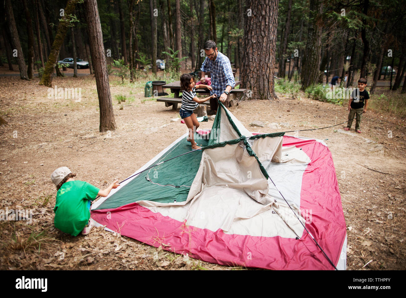 Family setting tent together in forest Stock Photo