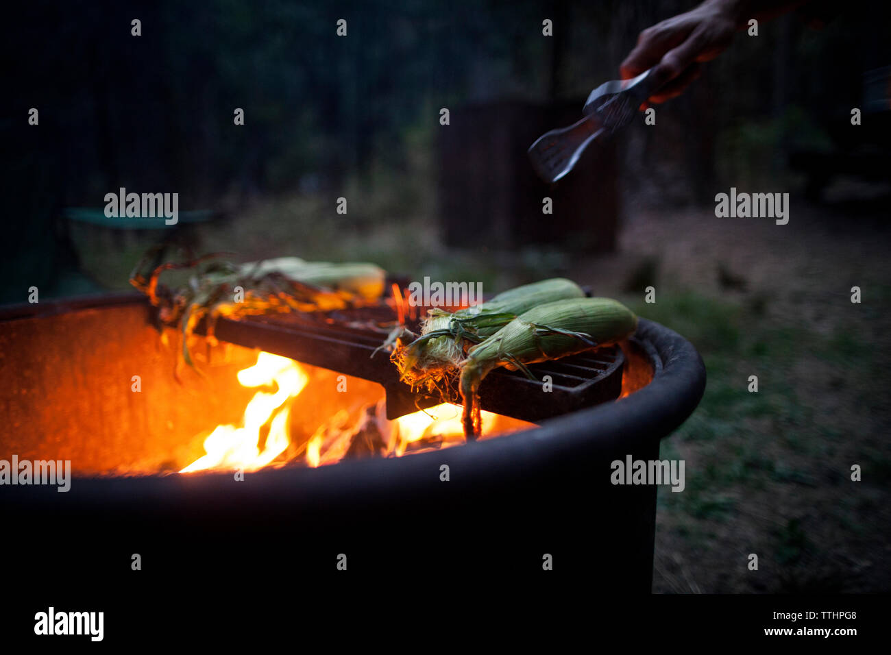 Cropped image of man holding serving tongs while preparing corns on fire pit Stock Photo