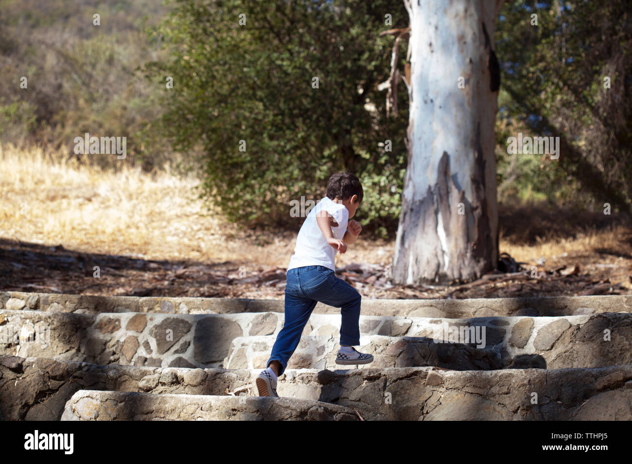 Boy running on stone staircase Stock Photo