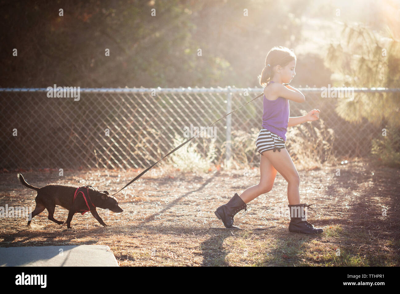 Girl holding dog leash hires stock photography and images Alamy