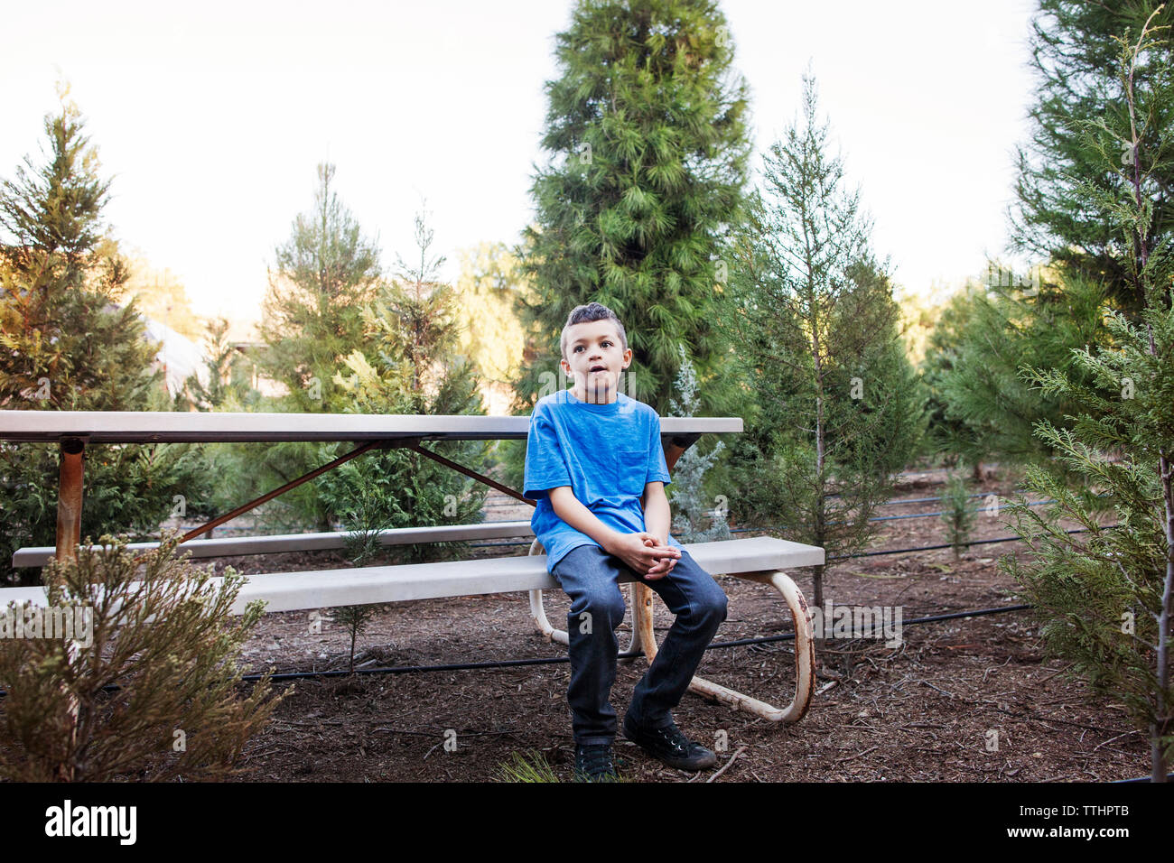 Boy looking away while sitting on bench in field Stock Photo