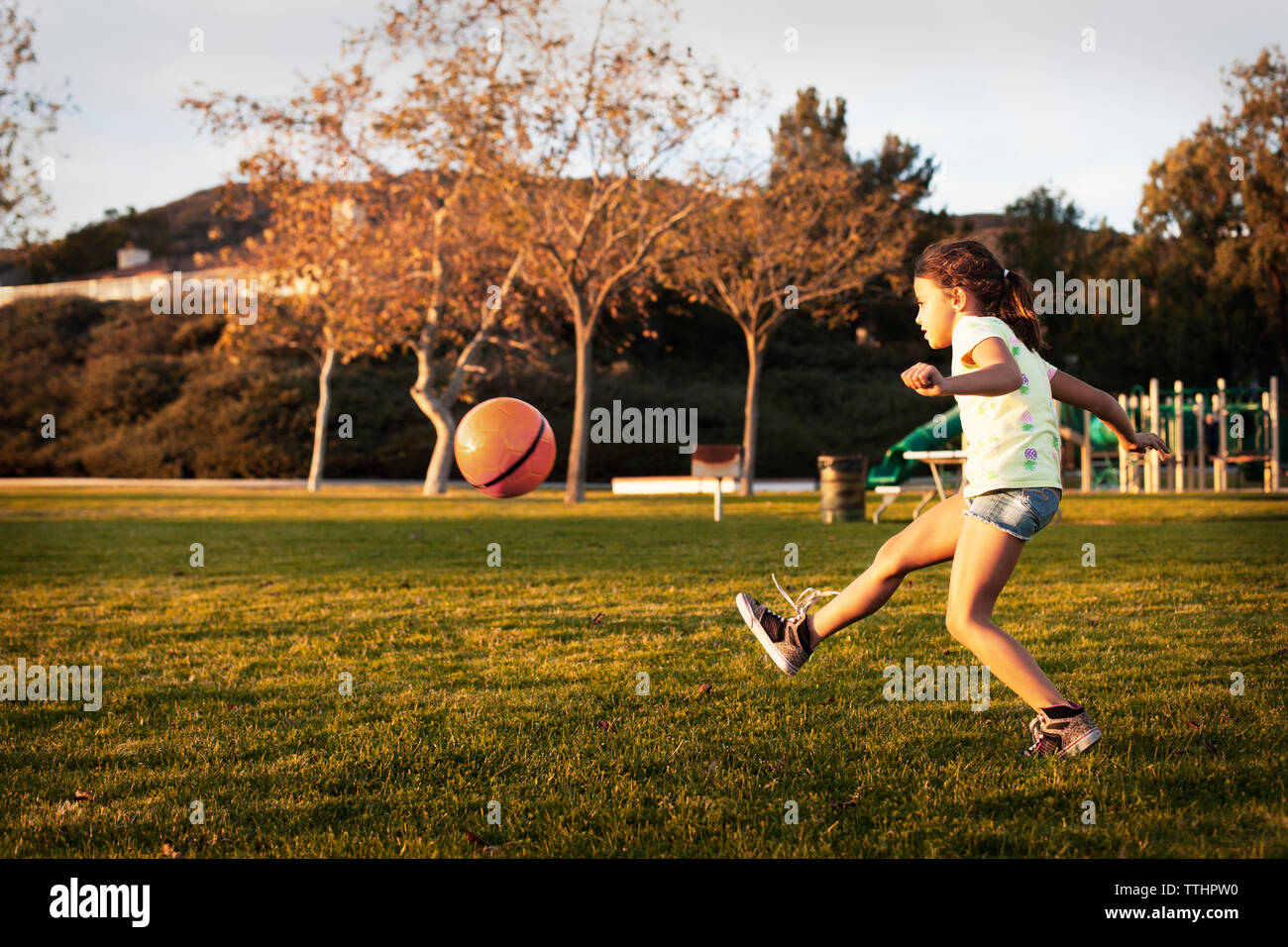 Basketball Kicked Ball