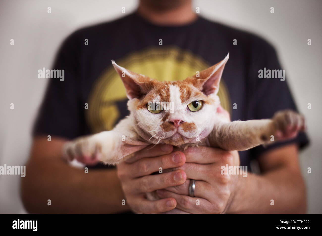 Midsection of man holding cat at home Stock Photo