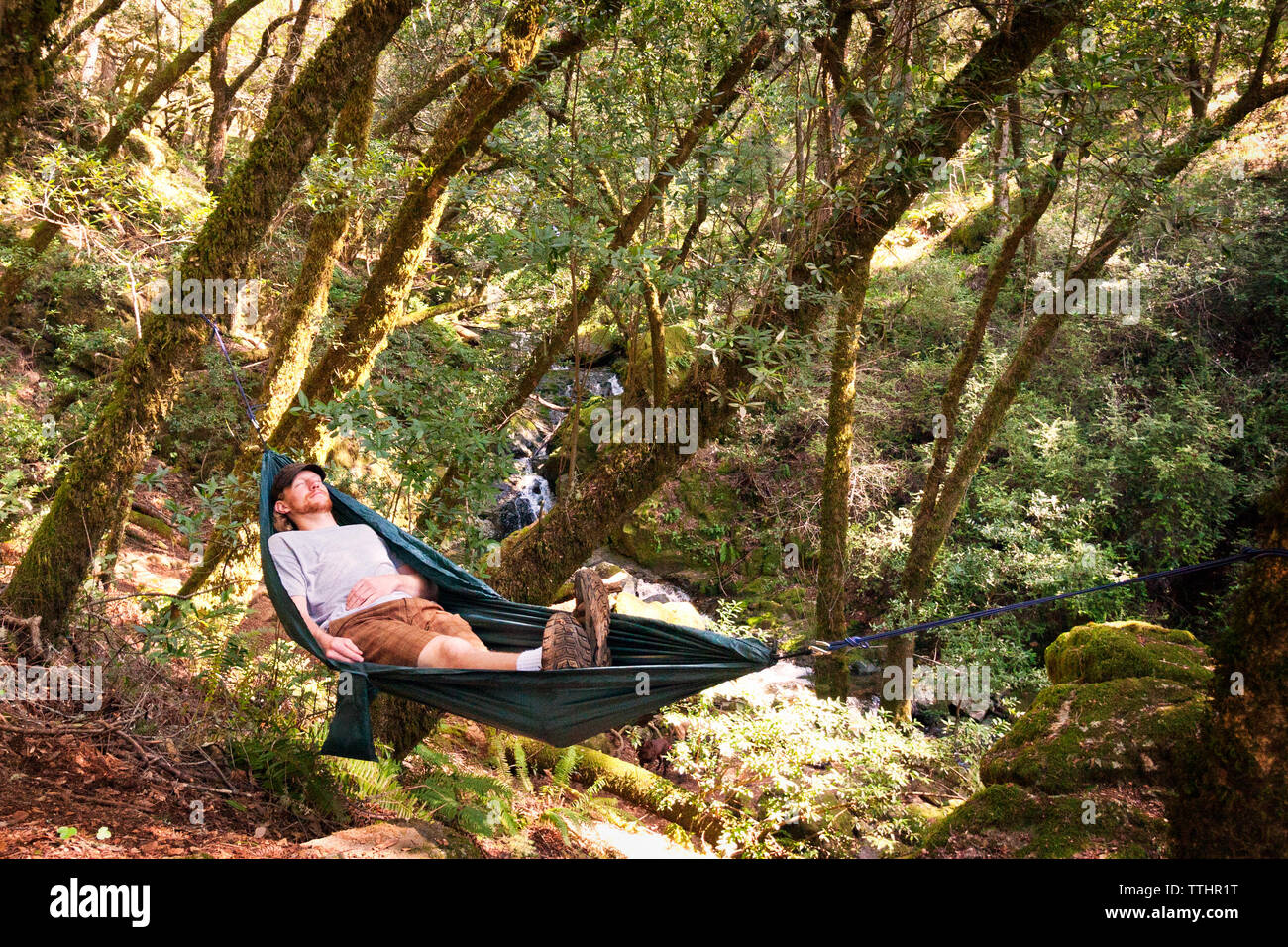 Man relaxing on hammock in forest Stock Photo