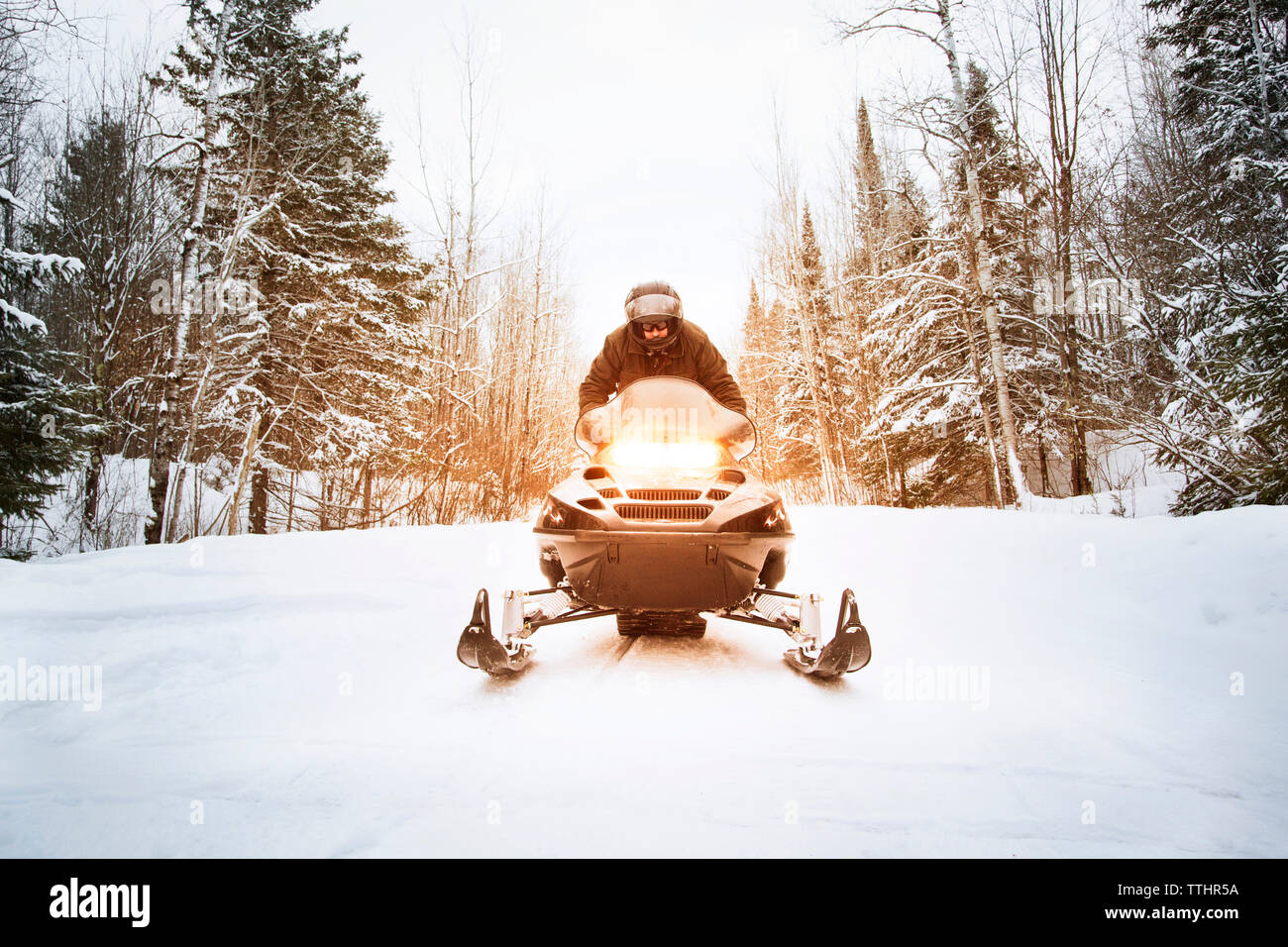 Man riding snowmobile on footpath amidst forest Stock Photo