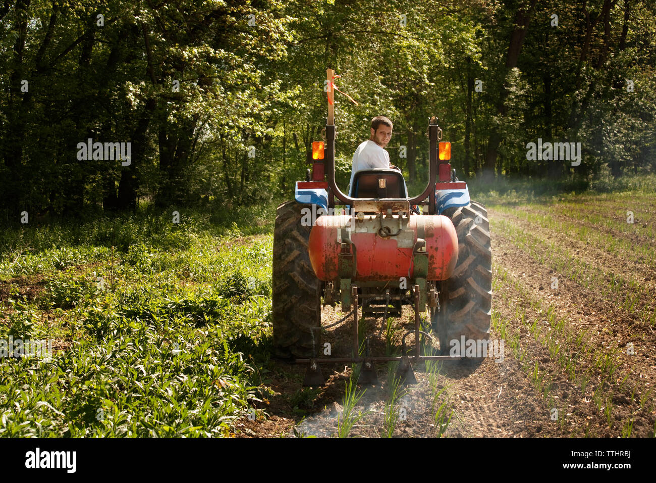 Farmer spraying fertilizer on agriculture field Stock Photo Alamy