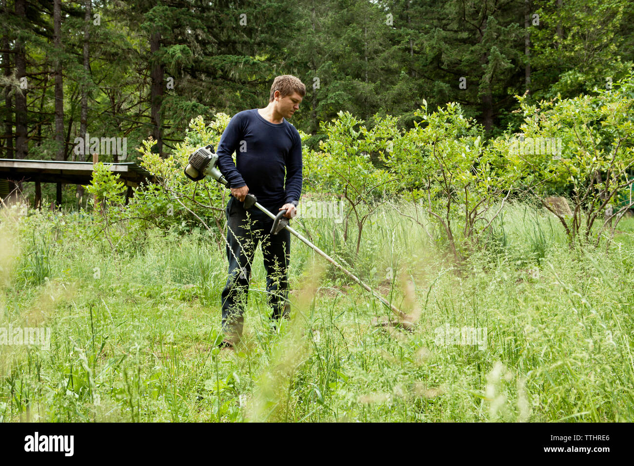Farmer spraying pesticide on field Stock Photo - Alamy