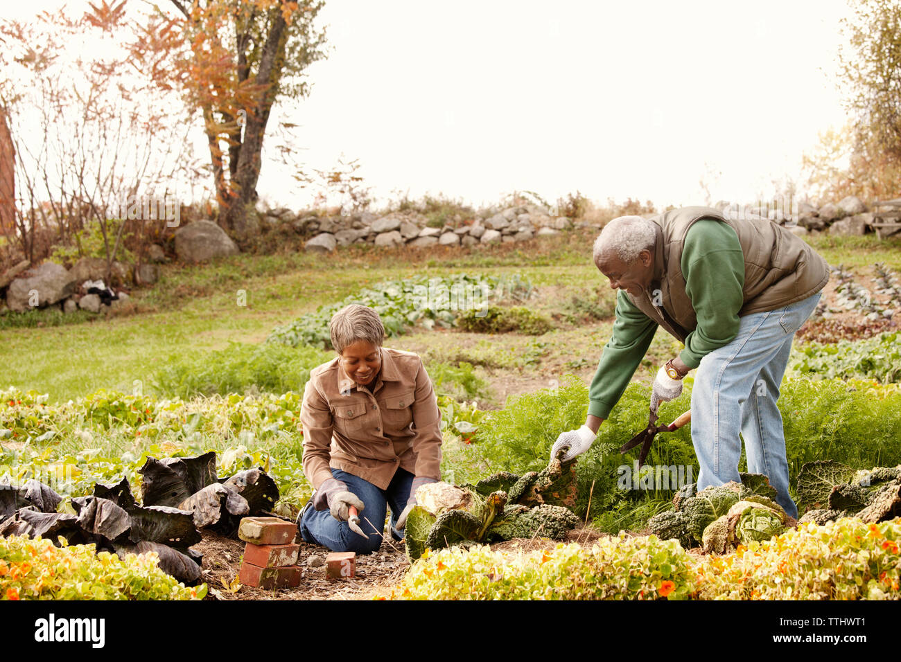 Old couple gardening hi-res stock photography and images - Alamy