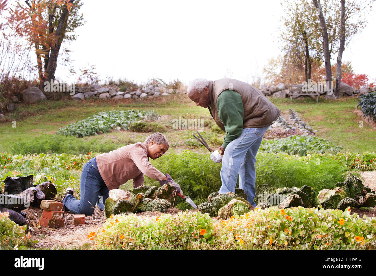 Two gardeners working hi-res stock photography and images - Page 3 - Alamy