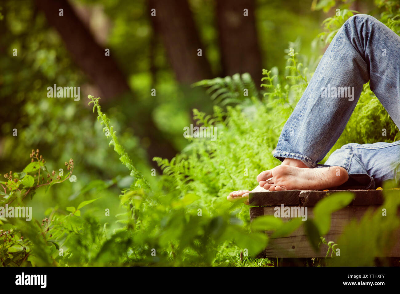 Human forest hi-res stock photography and images - Alamy