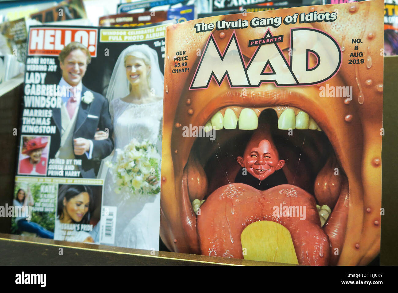 【額縁付き】mad magazine ⑧ A2ポスター Vintage 1972 MAD Magazine-Special Number Eight-