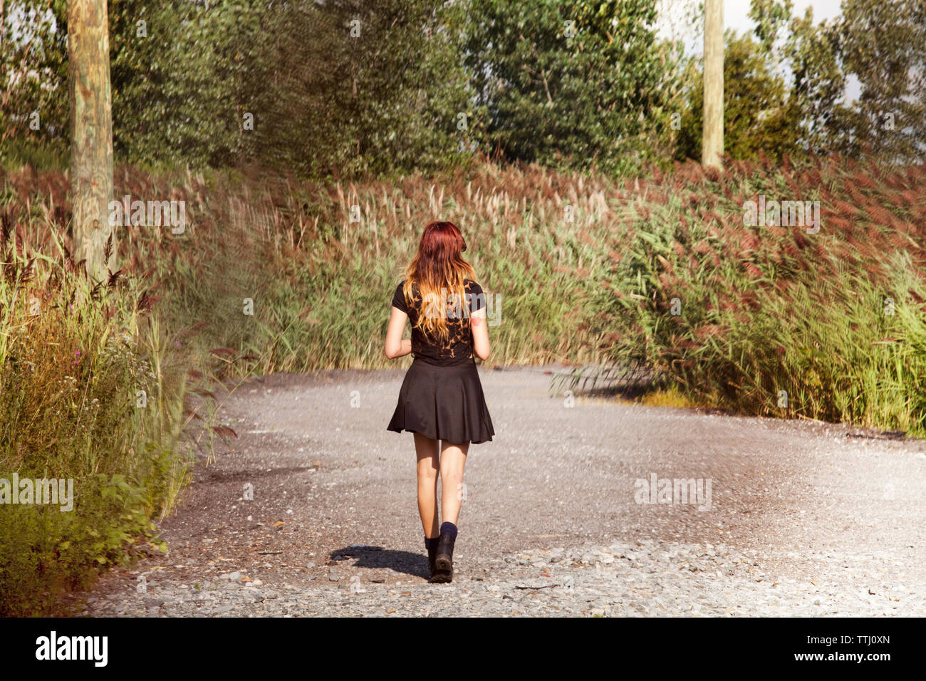 Rear view of woman walking on road by field Stock Photo