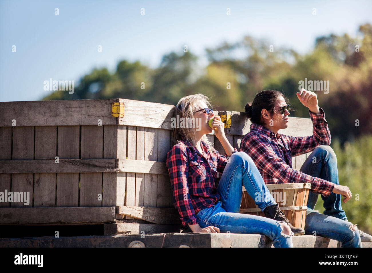 Woman eating fruit while sitting with boyfriend on truck Stock Photo