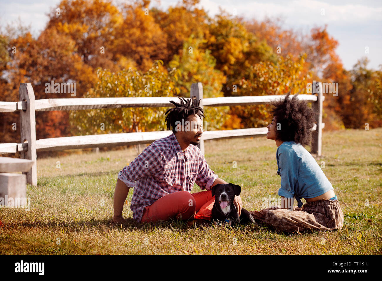 Couple with dog sitting on field Stock Photo - Alamy