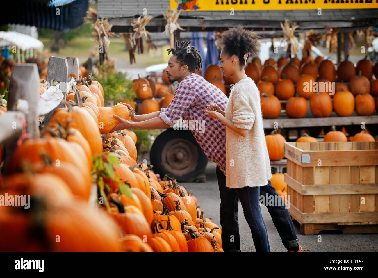 Man taking pumpkin from shelves at market stall Stock Photo