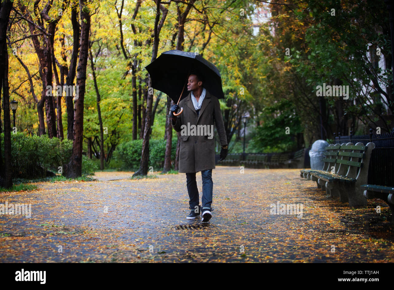 Man with umbrella walking on road in park Stock Photo