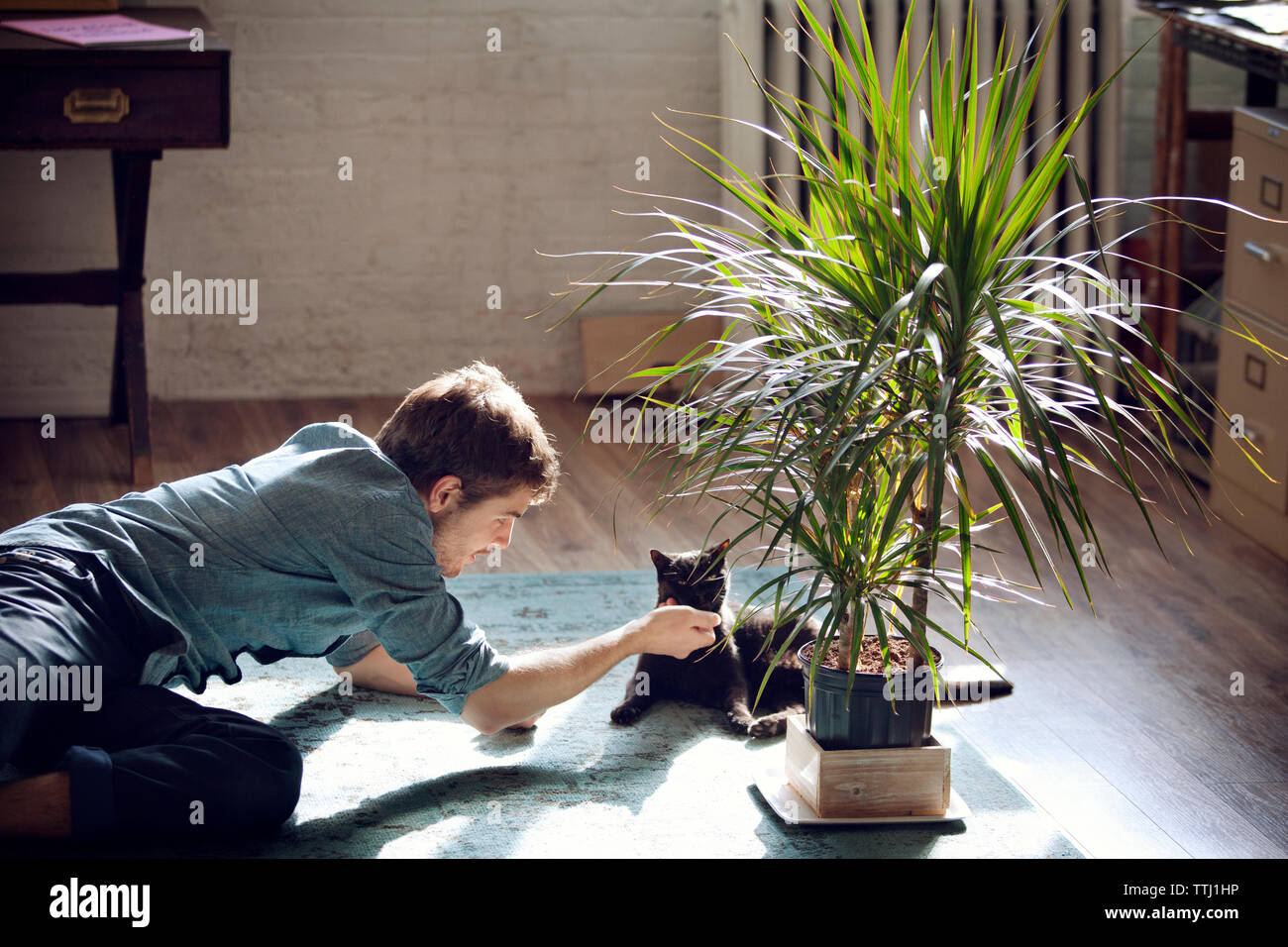 Man playing with cat while lying on floor at home Stock Photo