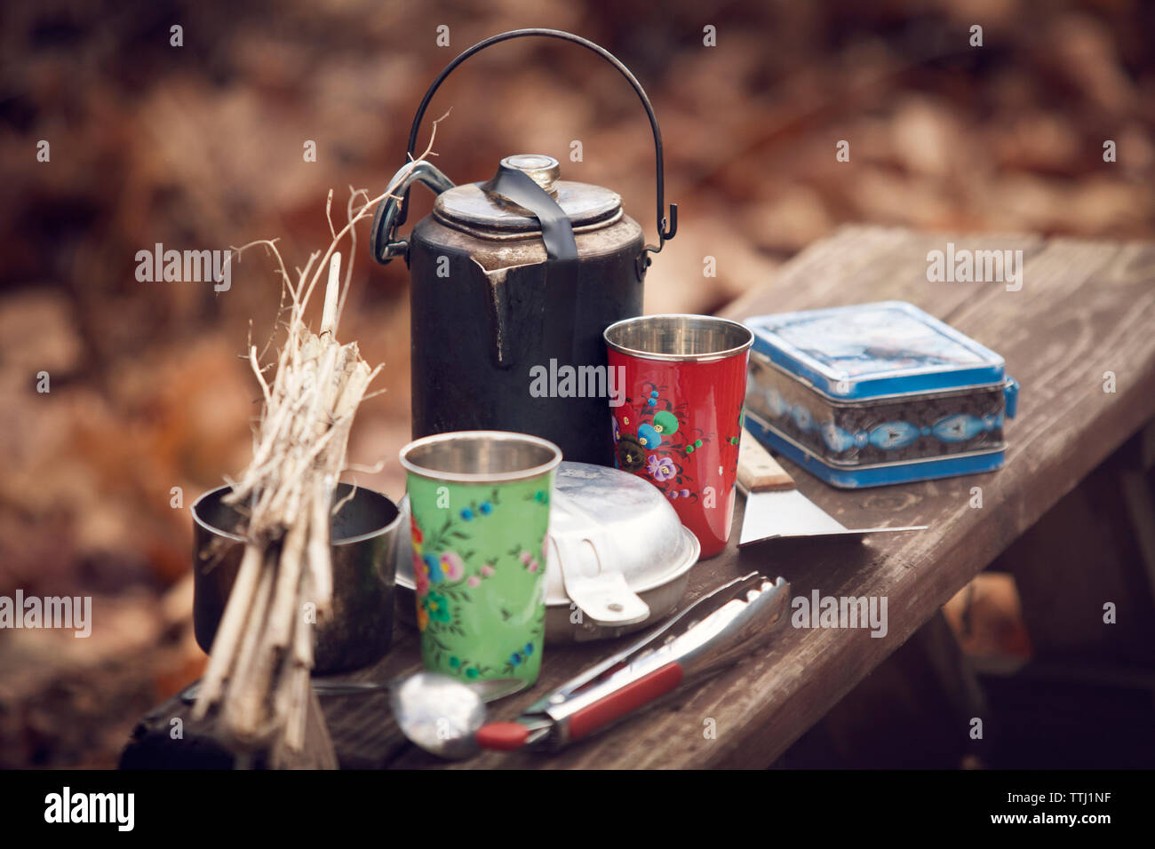 Camping objects on bench in forest Stock Photo