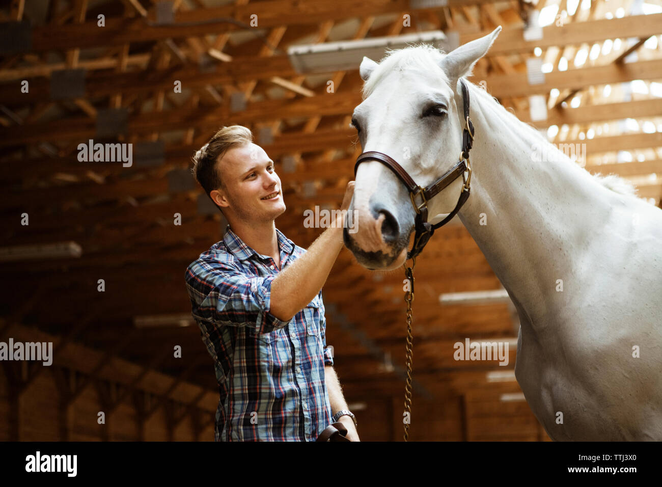 Happy rancher stroking horse in stable Stock Photo