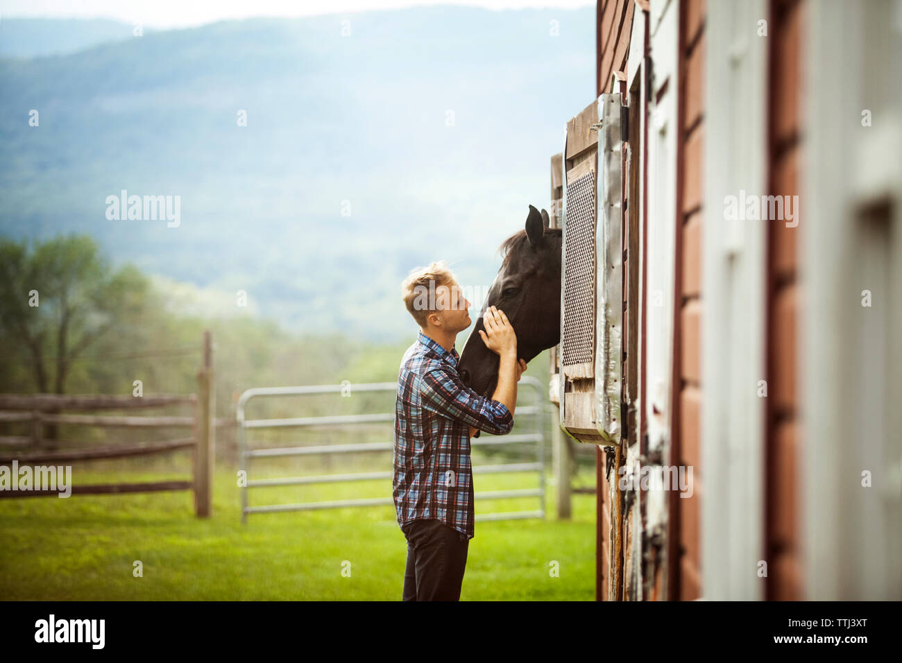 Rancher stroking horse peeking through stable Stock Photo