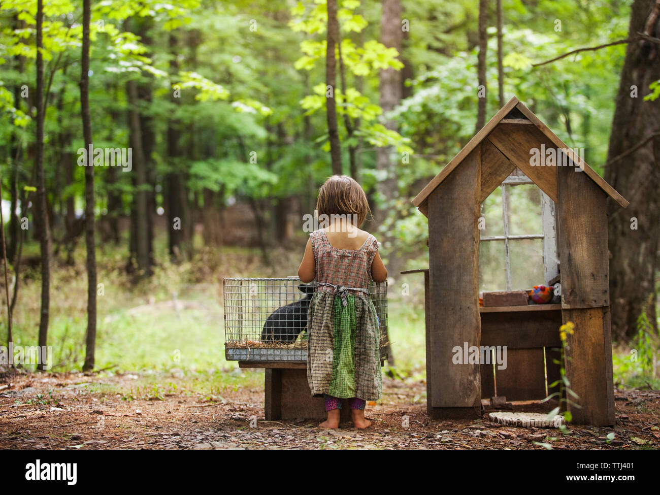 Rear view of girl standing by rabbit hutch in forest Stock Photo