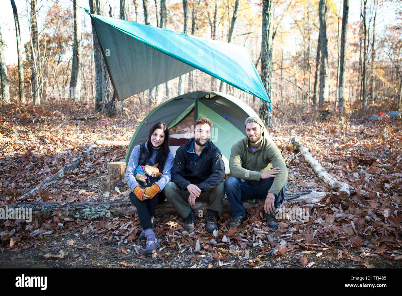 Portrait of friends sitting on fallen tree trunk by tent in forest Stock Photo