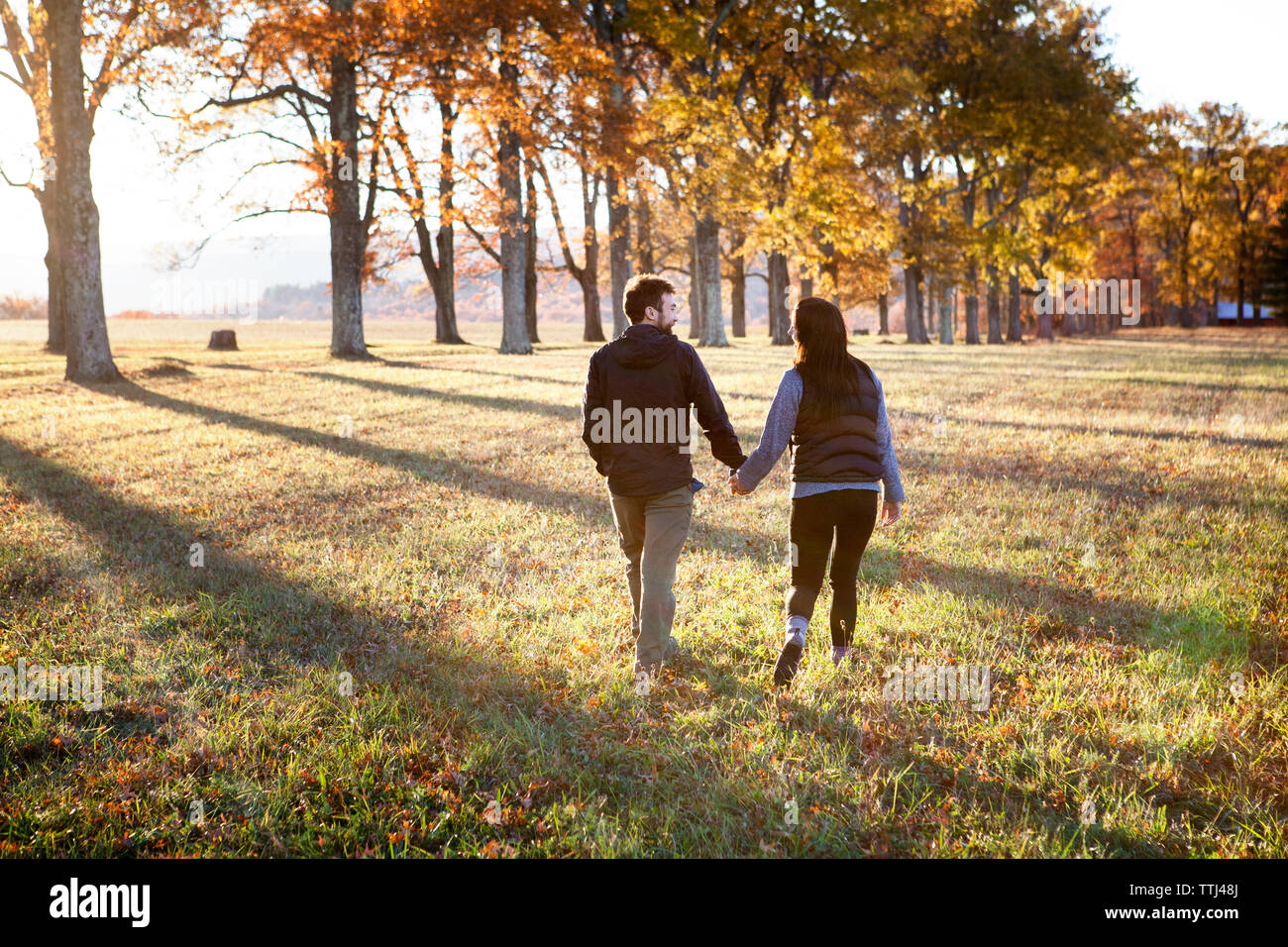 Rear view of couple holding hands while walking on field Stock Photo ...