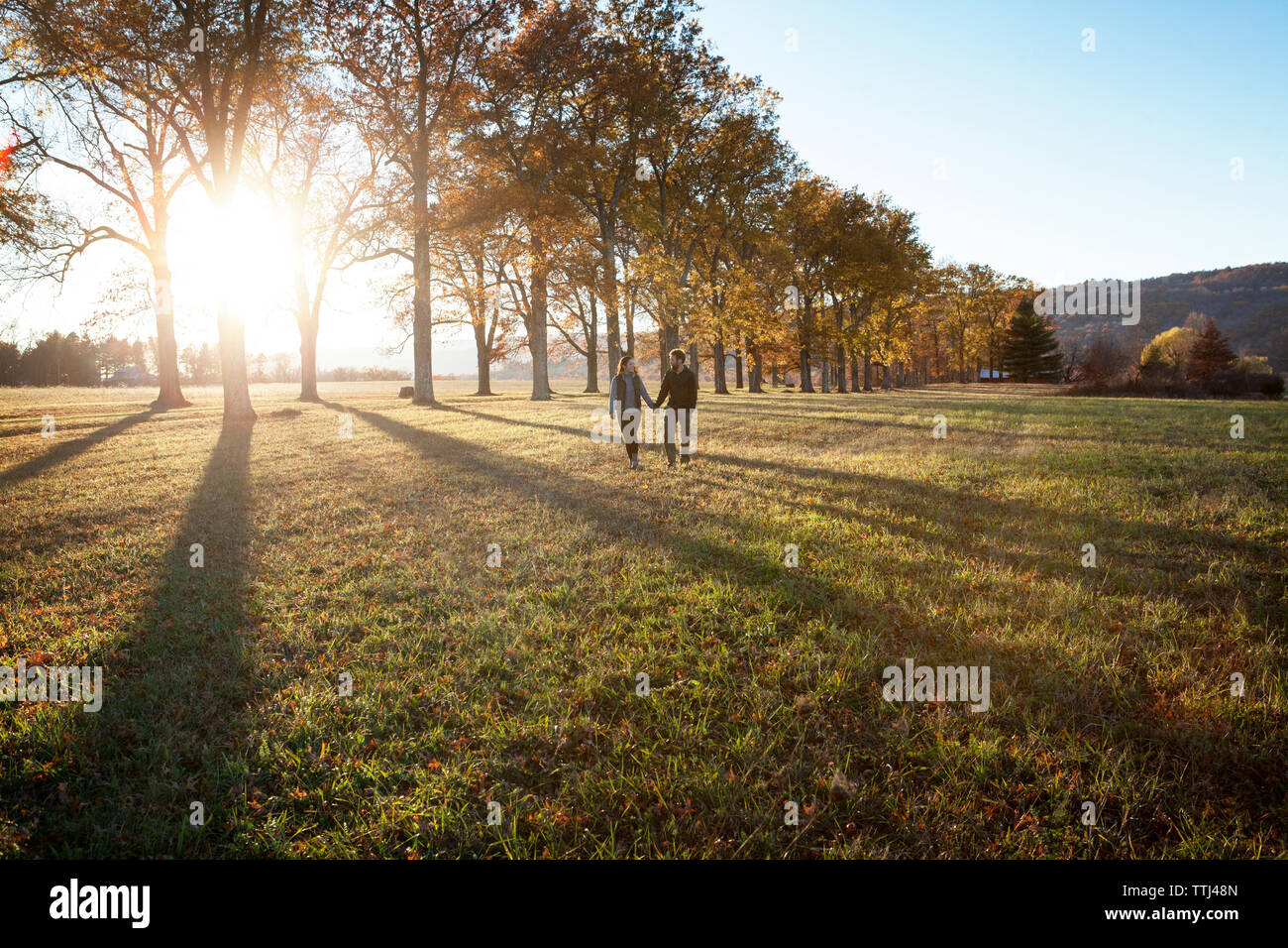 Couple holding hands while walking on field Stock Photo - Alamy