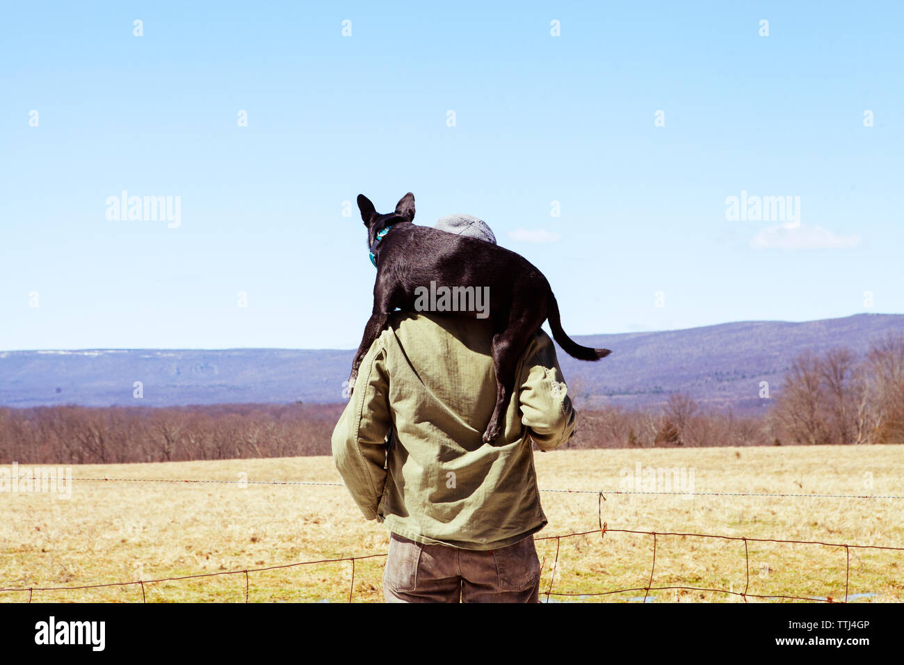 Rear view of man carrying dog on shoulders while standing at field against blue sky Stock Photo