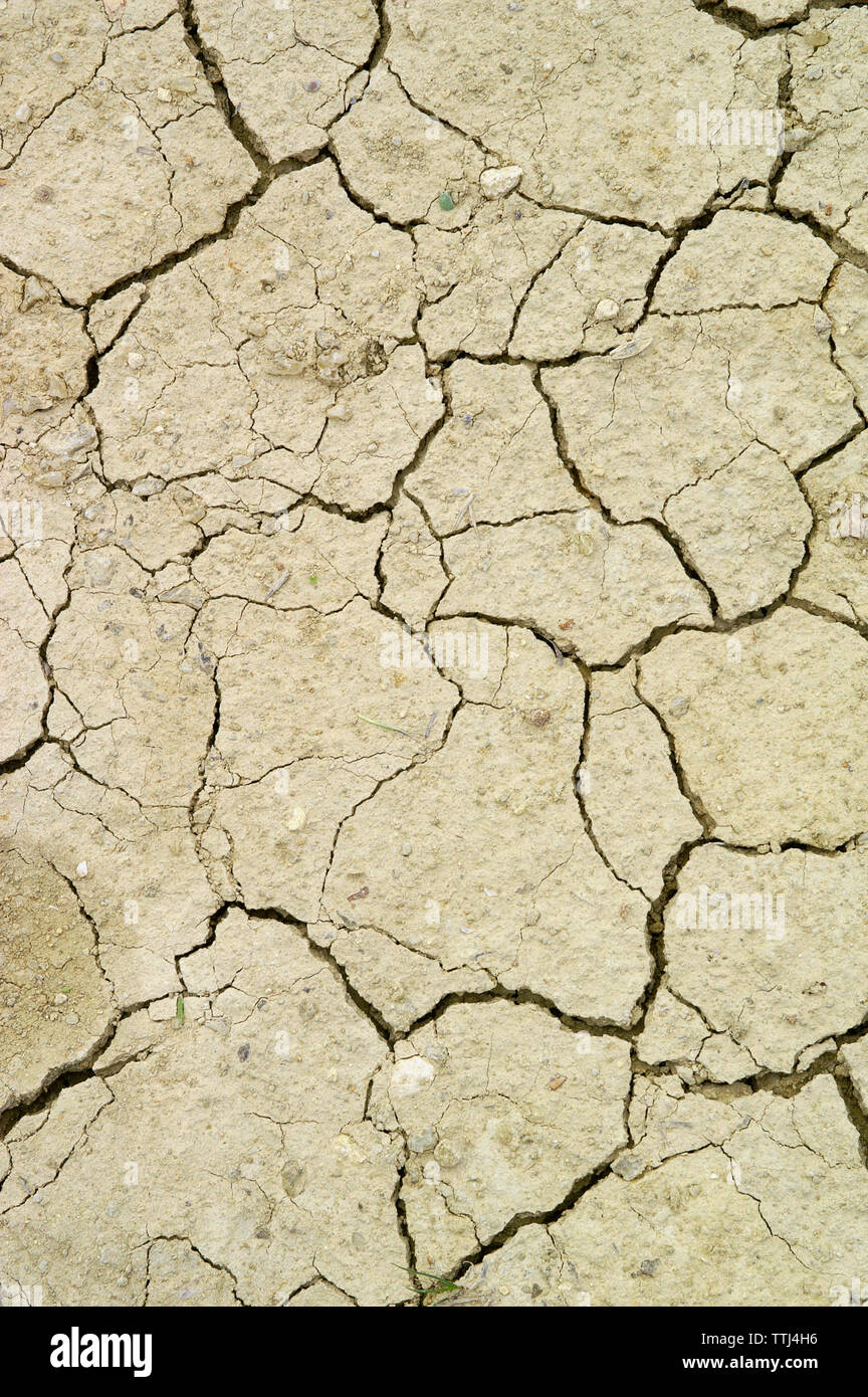 Dry cracks in sandy soil, Malta Stock Photo