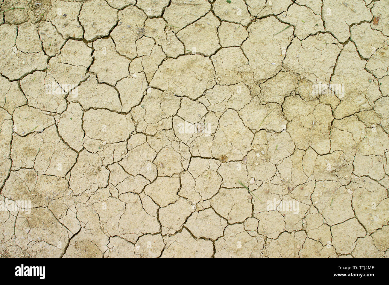 Dry cracks in sandy soil, Malta Stock Photo