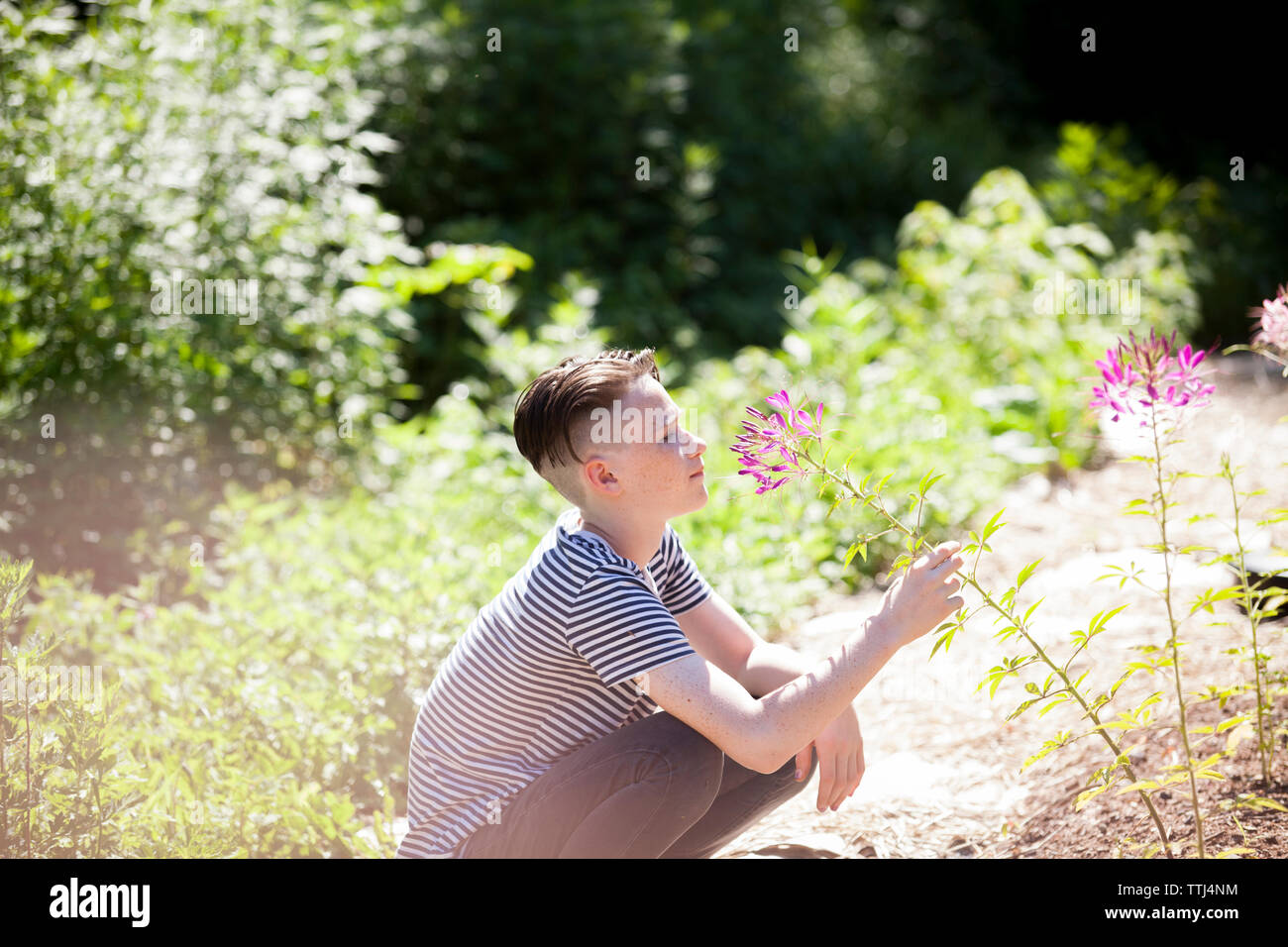 Side view of teenage boy smelling flowers while crouching on field Stock Photo