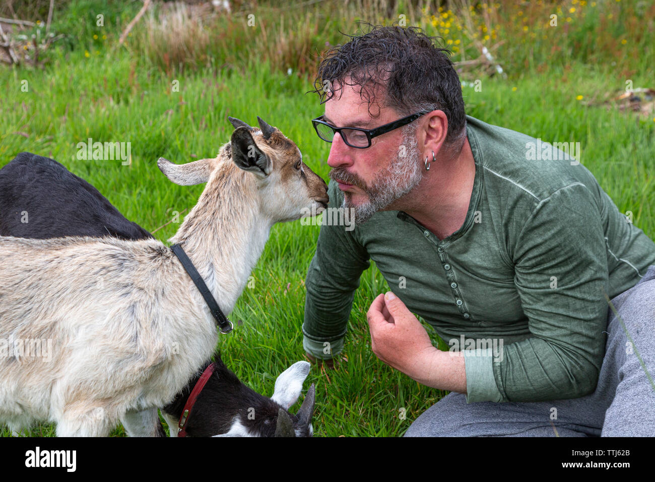 Man with pet goat, County Kerry, Ireland Stock Photo